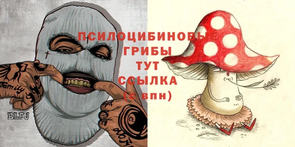 2c-b Абинск