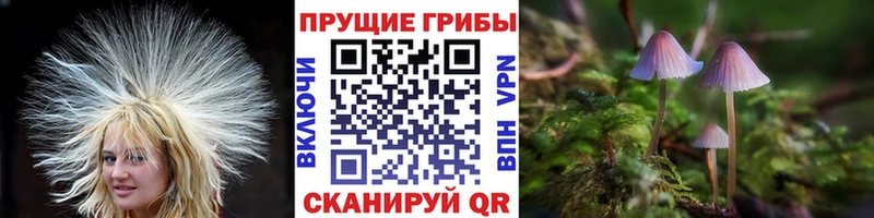 Псилоцибиновые грибы ЛСД  Полтавская 