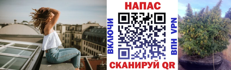 Каннабис White Widow  Полтавская 
